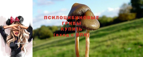 бошки Баксан