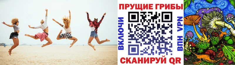Галлюциногенные грибы мухоморы  наркота  Ковдор 
